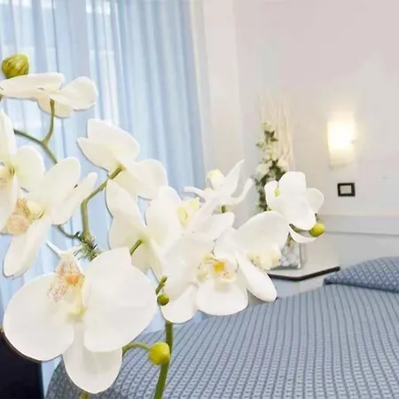 Hotel Elite 3*