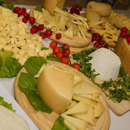 Elite カットーリカ